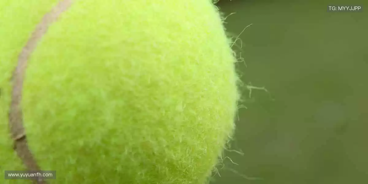 👕限量潮品，实力见证！用细节诠释你对体育的极致追求！